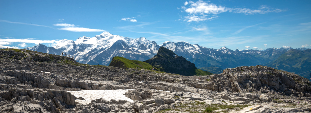Mont - Blanc depuis le Désert de Platé