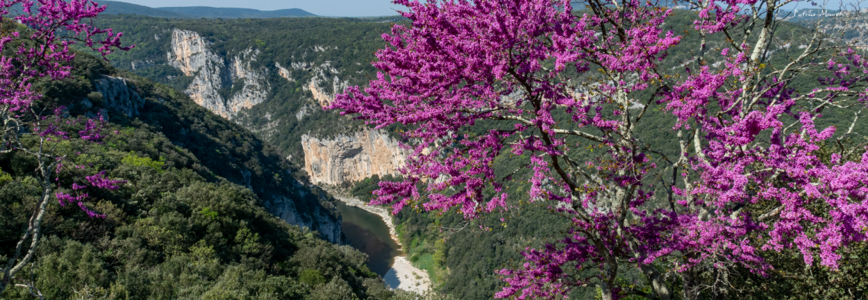 Les Gorges de l‘Ardèche