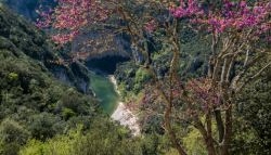 Gorges de l‘Ardèche - Cliquez sur l‘image